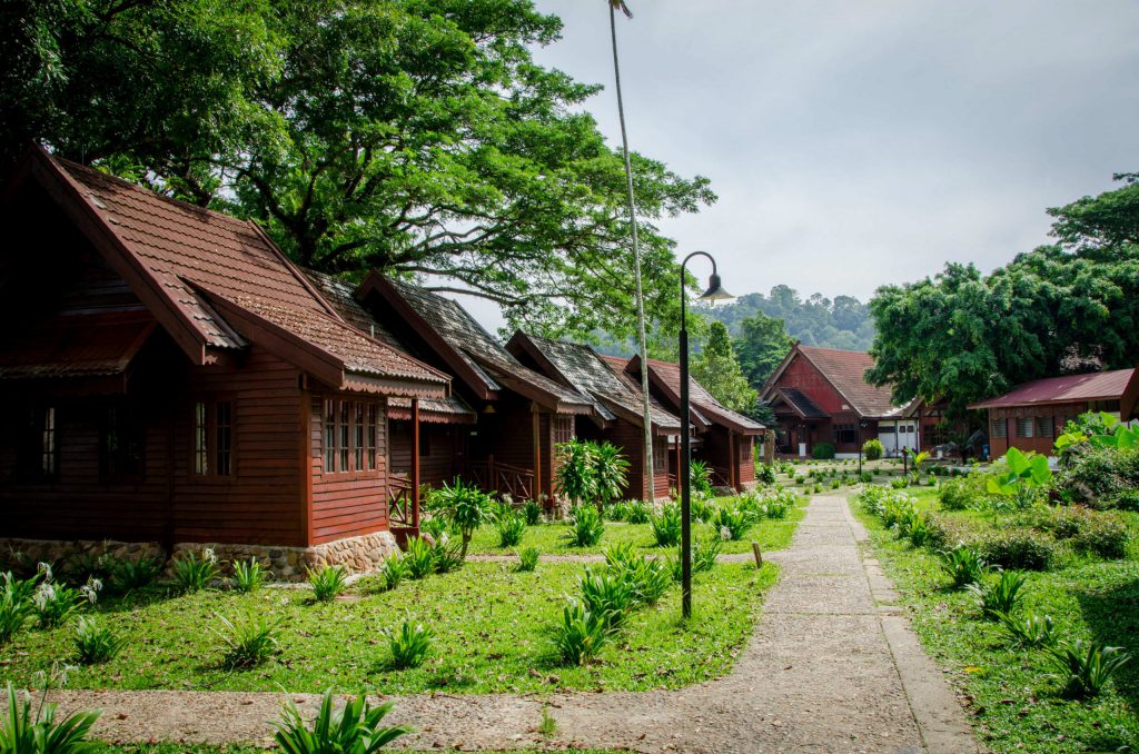 Accommodations - Mutiara Taman Negara
