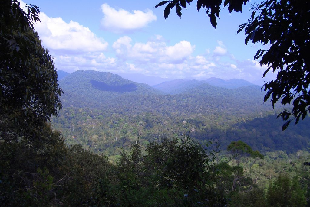 taman negara tour cave