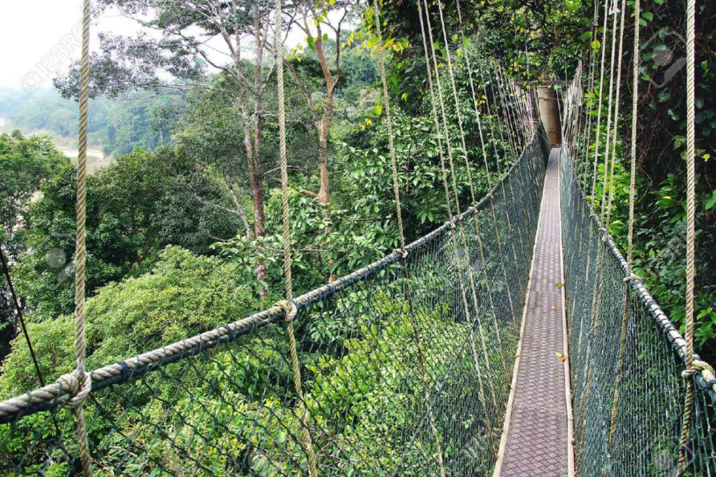 taman negara jungle tour