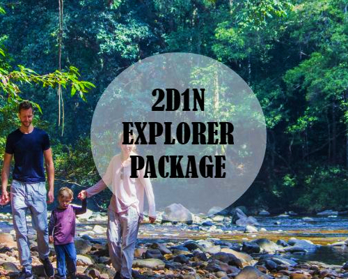 taman negara tour package 2023