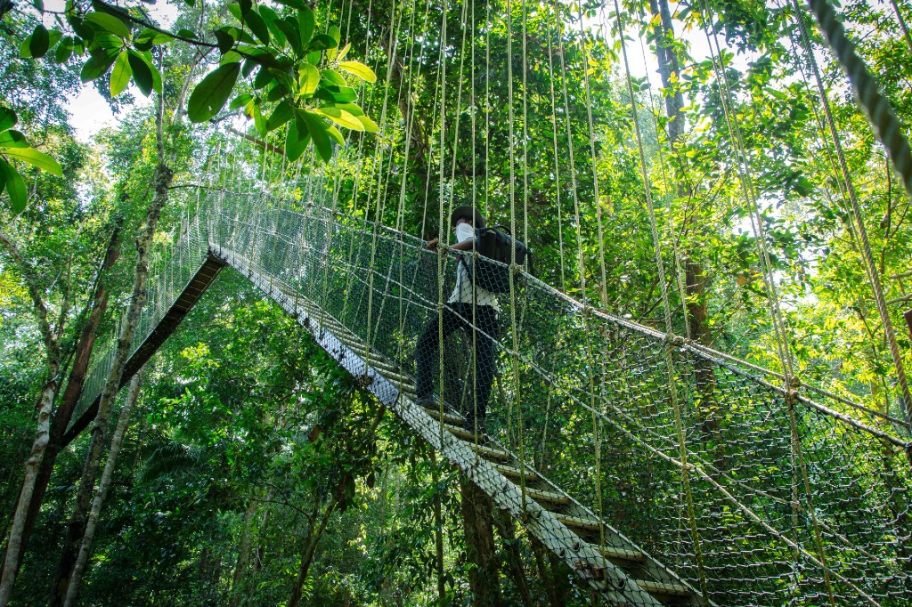 taman negara tour cave