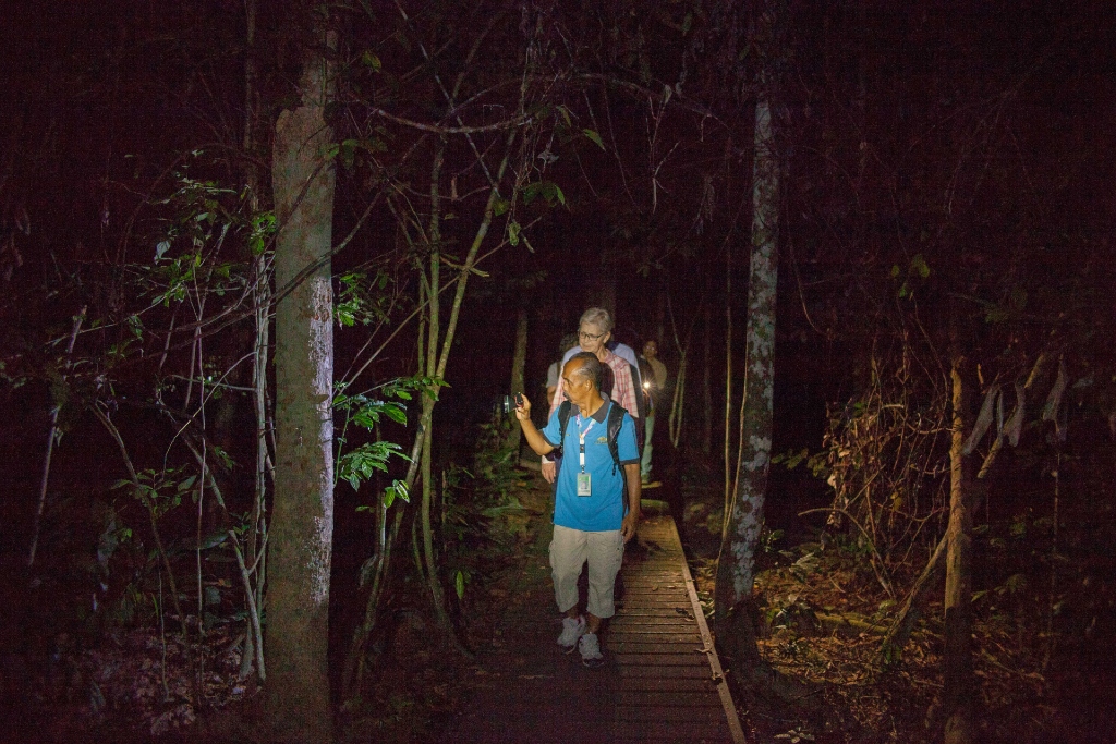 night safari taman negara