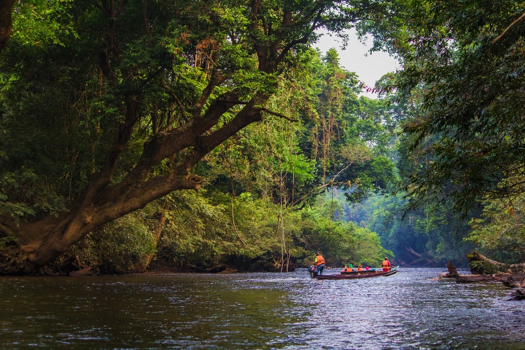 taman negara tour cave