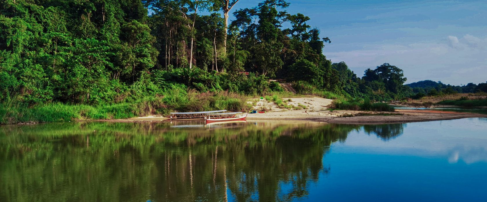 Read more about the article is Taman Negara worth visiting?