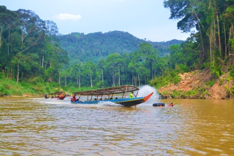 taman negara wildlife tour